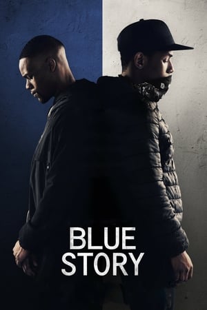 Blue Story (2019) Hindi Dual Audio HDRip 720p – 480p