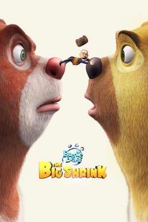 Boonie Bears The Big Shrink 2018 Hindi Dual Audio 720p WebRip [940MB]