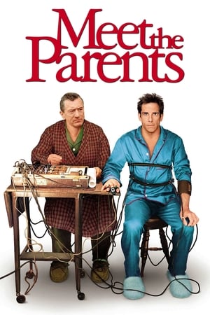 Meet the Parents 2000 Hindi Dual Audio 480p BluRay 350MB