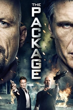 The Package (2013) Hindi Dual Audio 480p HDRip 350MB